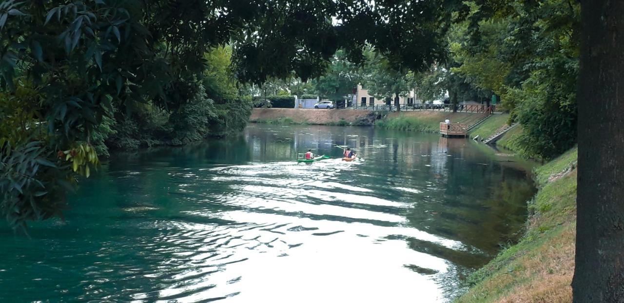 Ampio Appartamento Vicino Al Centro Di Treviso, Parcheggio Gratuito Eksteriør billede